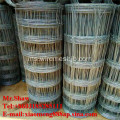 Pagar Galvanized Weave Wire Kraal Network